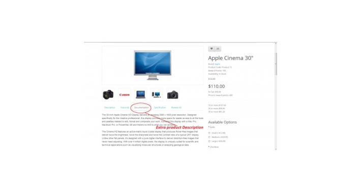 Add Custom Tab to All Product