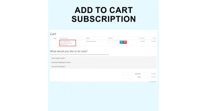 Online Exam Preparation