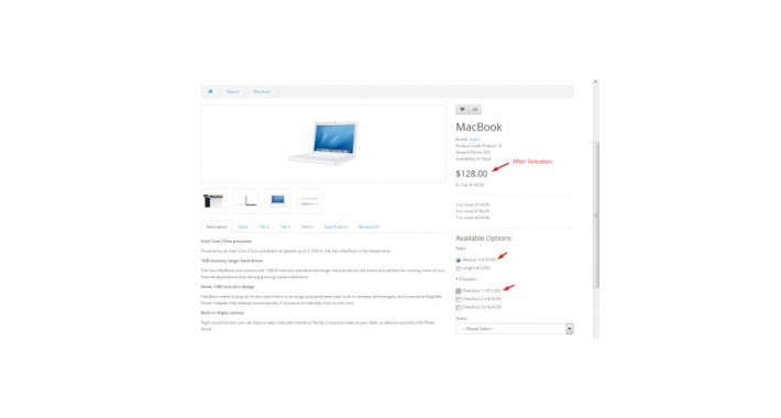 Live Option Price Updater