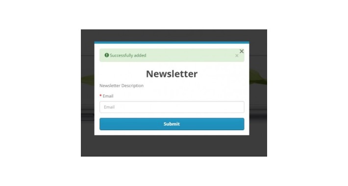 Newsletter Subscribe