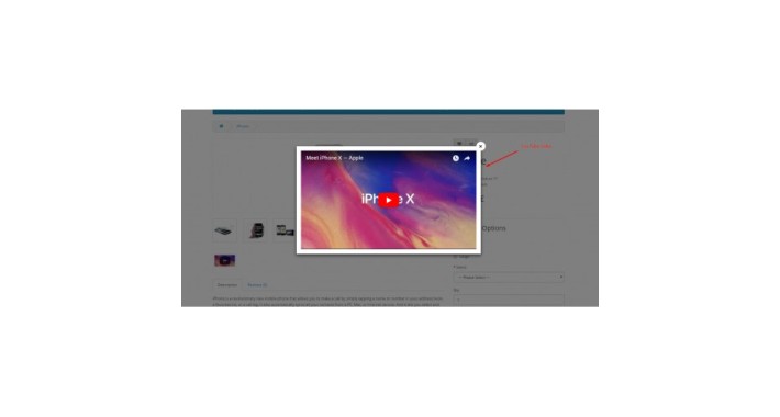Product Videos