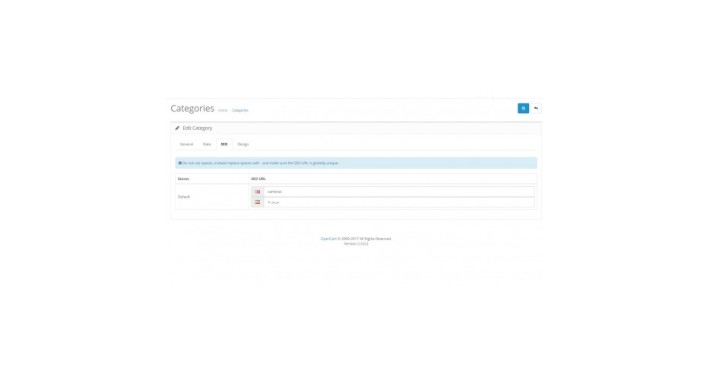 Multi Language and Store URLs