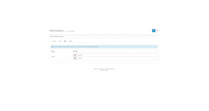 Multi Language and Store URLs