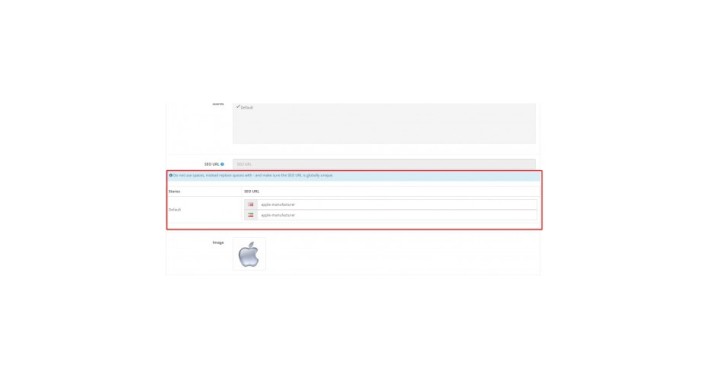 Multi Language and Store URLs
