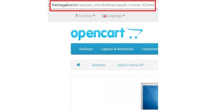 Multi Language and Store URLs